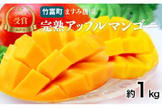 2025年 先行予約 アップルマンゴー 約1kg 2～4玉 完熟 マンゴー ますみ農園 果物 フルーツ
