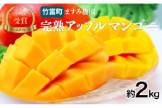 2025年 先行予約 アップルマンゴー 約2kg 3～6玉 完熟 マンゴー ますみ農園 果物 フルーツ