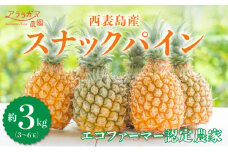 2025年5月中旬発送開始予定 『ちぎって食べる！？』スナックパイン★香り高く酸味が少ない★黄金色した甘～いパイン★スナックパイン3㎏（3～6個）