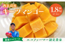 2025年先行予約 マンゴー 約1.8kg 2～4玉 希少品種濃密 キーツマンゴー 高糖度保証！農園ファイミール 果物 フルーツ