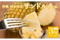 2025年 先行予約 セット パイン 熟鮮サンドルチェ(R) 3kg(2～3玉) 沖縄 西表島産 レア品種 沖縄 西表島産 果物 フルーツ