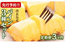 定期便 3ヶ月 2025年 先行予約 スナックパイン ピーチパイン サンドルチェ 3種の旬のパイン パイン畑から直送