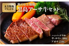 黒島アーサ牛セット ( ハンバーグ 150g×8 サーロイン 150g×2 アーサ 250g )
