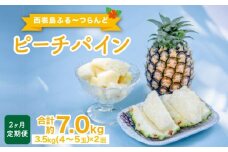 定期便 2ヶ月 2025年 先行予約 ピーチパイン 約3.5kg×2回 ピーチパイン好きにおすすめ♪ ☆西表島ふる～つらんど☆ 果物 フルーツ
