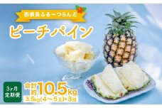 定期便 3ヶ月 2025年 先行予約 ピーチパイン 約3.5kg×3回 ピーチパイン好きにおすすめ♪ ☆西表島ふる～つらんど☆ パイン 果物 フルーツ