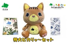 ゆるキャラ ご当地キャラクター 竹富町 特大 ピカリャ～ セット