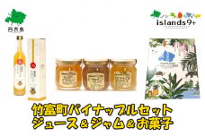 パイナップル ジュース ジャム 加工品 竹富町 パイナップル セット(1)
