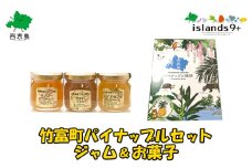 パイナップル ジャム 加工品 竹富町 パイナップル セット(2)