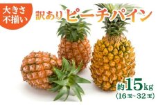 訳あり 不揃い 2026年 先行予約 ピーチパイン 約15kg 16～32玉 "いってＱ"でも紹介された 西表島ひらい農園 濃密 パイン 果物 パイナップル フルーツ