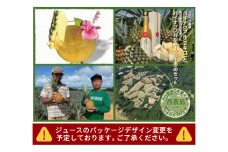 2025年 先行予約 セット 熟鮮パイン2kg （2玉） と甘さをぎゅっと詰め込んだ100％ パイナップルジュース 1本 大きさ不揃い パイン 果物 フルーツ