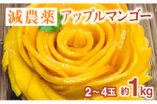 2025年 先行予約 栽培期間中 減農薬 アップルマンゴー 約1kg 2～4玉 アナナス農園 完熟 マンゴー 果物 フルーツ