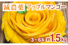 2024年 先行予約 栽培期間中 減農薬 アップルマンゴー 約1.5kg 3～6玉 アナナス農園 完熟 マンゴー 果物 フルーツ
