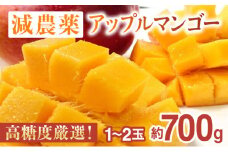 2024年 先行予約 アップルマンゴー 約700g 1～2玉 高糖度厳選！栽培期間中 減農薬！アナナス農園 完熟 マンゴー 果物 フルーツ