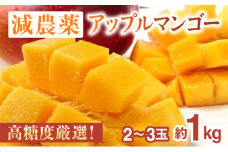 2025年 先行予約 アップルマンゴー 約1kg 2～3玉 高糖度厳選！栽培期間中 減農薬！アナナス農園 完熟 マンゴー 果物 フルーツ