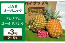 【JASオーガニック】 プレミアムゴールドバレル 約3kg 2～5玉