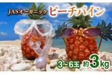 2025年 先行予約 パイナップル ついに実現！転換期間中　JASオーガニックピーチ 約3kg 3～6玉 果物 フルーツ