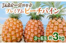【JASオーガニック】 プレミアムピーチパイン 約3kg 3～6玉