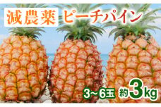 2025年 先行予約 栽培期間中 減農薬 ピーチパイン 約3kg 3～6玉 西表島アナナス農園 完熟 パイン 果物 フルーツ