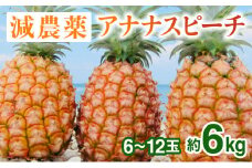2024年 先行予約 栽培期間中 減農薬 ピーチパイン 約6kg 6～12玉西表島アナナス農園 完熟 パイン 果物 フルーツ