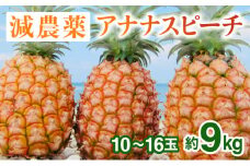 2024年 先行予約 栽培期間中 減農薬 ピーチパイン 約9kg 10～16玉 西表島アナナス農園 完熟 パイン 果物 フルーツ