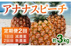 定期便 2024年 先行予約 ピーチパイン 約3kg (3～6玉)×2回 栽培期間中 西表島アナナス農園 完熟 パイン 果物 フルーツ