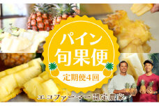 定期便 4回 2025年 先行予約 パイナップル 旬果便 農園ファイミール パイン 4種 果物 フルーツ