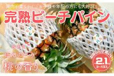 ☆新感覚の味わい☆ 桃のような甘～い香りのする芳醇なパイナップル『完熟ピーチパイン』約2.1kg
