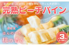 ☆新感覚の味わい☆ 桃のような芳醇な香りのする『西表島産 完熟ピーチパイン』3kg