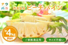 【訳あり】☆新感覚の味わい☆ 桃のような芳醇な香りのする『西表島産 完熟ピーチパイン』４kg