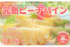 【訳あり】☆新感覚の味わい☆ 桃のような芳醇な香りのする『西表島産 完熟ピーチパイン』８kg