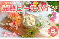 ☆新感覚の味わい☆ 桃のような芳醇な香りのする『西表島産 完熟ピーチパイン』約６kg