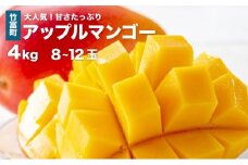 マンゴー 先行予約 沖縄 アップルマンゴー 約4kg 8～12玉 西表島 ひらい農園 2026年 発送 果物 フルーツ デザート 完熟 濃厚