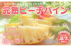 【訳あり】☆新感覚の味わい☆ まるで桃のような甘～い香り『西表島産 完熟ピーチパイン』約2.7kg 2025年 発送 西表島ナウパカ ご家族満足用 不揃い 果物 フルーツ デザート パイン 訳アリ 希少