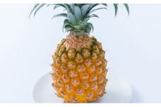 パイナップル スナックパイン 約2.5kg 2～4玉 パイン 果物 フルーツ 沖縄 西表島【TOK:iふぁーむ】配送不可：離島