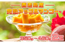 完熟 アップルマンゴー 2L 350g～460g 2玉 マンゴー 果物 デザート 品評会連続入賞 2025年 発送 ますみ農園