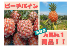 2025年4月中旬発送開始。『西表島産ピーチパイン』は国内流通量1％未満☆芳醇な桃の香り☆驚く甘さ☆ジューシーな果汁☆ピーチパイン5㎏（6～10個）