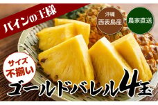 【2024年発送】ゴールドバレルふぞろいな４玉セット