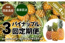 【2024年5月～7月（全3回発送）】南国の美味しさを！パイナップル 定期便 B
