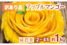 【訳あり】減農薬 アップルマンゴー 約1kg 2～4玉 【2025年7月上旬以降順次発送】アナナス農園 完熟 マンゴー 果物 フルーツ