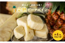 穫れたて新鮮冷凍！西表島の完熟ピーチパイン 500g×8袋 嘉本商店 完熟 果物 フルーツ