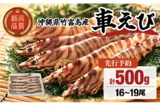 2025年 先行予約 車えび 500g 竹富島産 冷凍車えび
