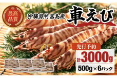 2025年 先行予約 車えび 3kg 竹富島産 冷凍車えび
