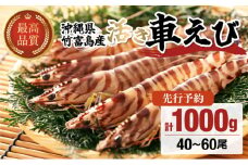 2025年 先行予約 竹富島産 活車えび 1kg