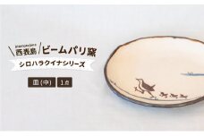 ビームパリ窯　シロハラクイナシリーズ　楕円皿　中