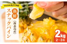 ２０２５年発送予約【手でちぎって食べる楽しさ】沖縄　西表島　熟鮮スナックパイン2kg（2～3玉）