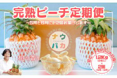 【ピーチ定期便★約1.2kg×2回】☆新感覚☆ 桃のような芳醇な香りのする『西表島産 完熟ピーチパイン』