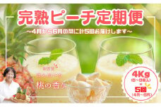 【よくばりピーチ定期便★約４kg×５回】☆新感覚☆ 桃のような芳醇な香りのする『西表島産 完熟ピーチパイン』