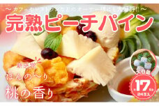 ☆新感覚の味わい☆ 桃のような芳醇な香りのする『西表島産 完熟ピーチパイン』 約17kg