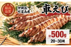 竹富島産 活車えび 500g