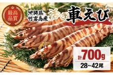 竹富島産 活車えび 700g